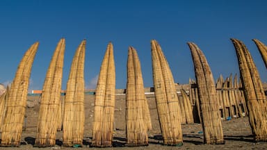 pimentel beaches in chiclayo - Peru