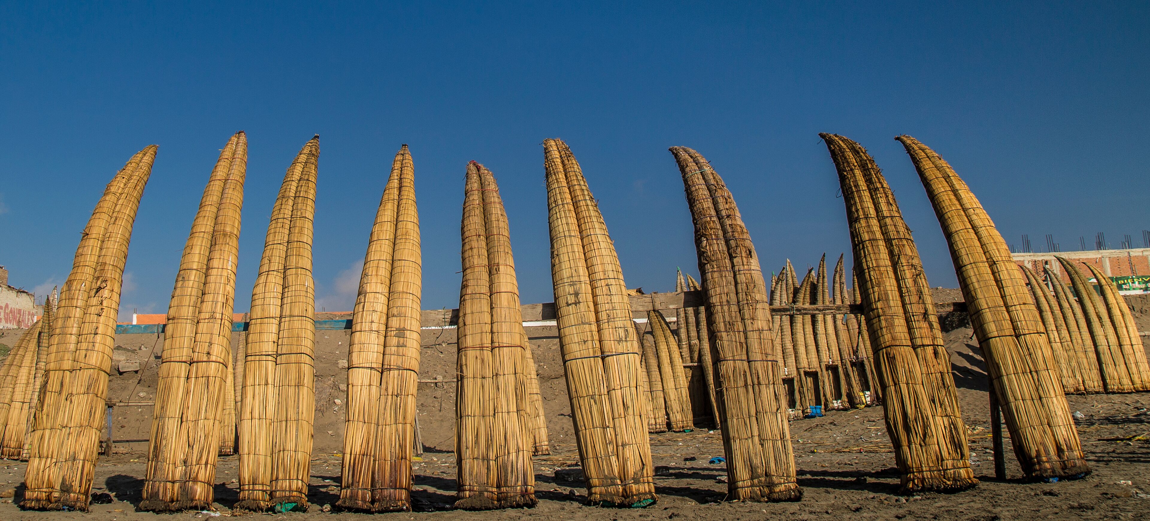 A row of tall, cylindrical bamboo structures in a dry, open area with a clear blue sky.