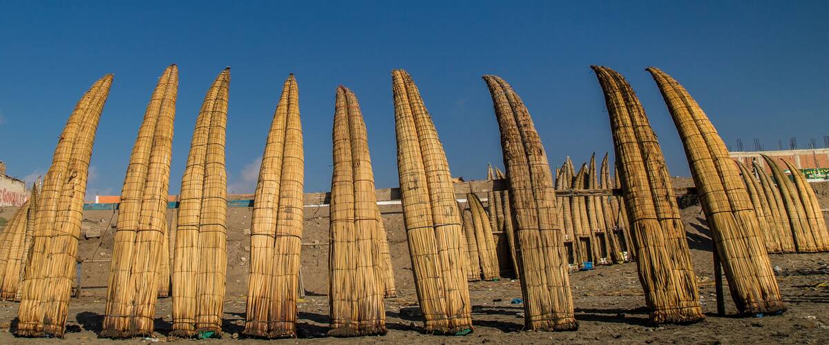 A row of tall, cylindrical bamboo structures in a dry, open area with a clear blue sky.