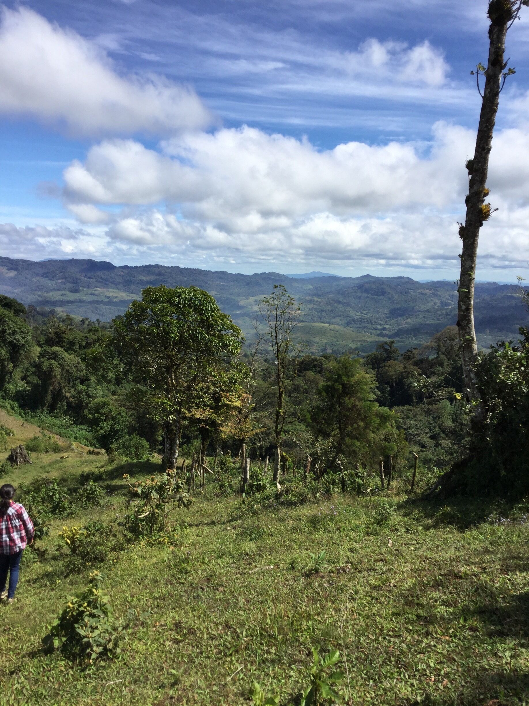 This photo was taken in the mountains surrounding Jinotega, about thirty minutes from the actual city