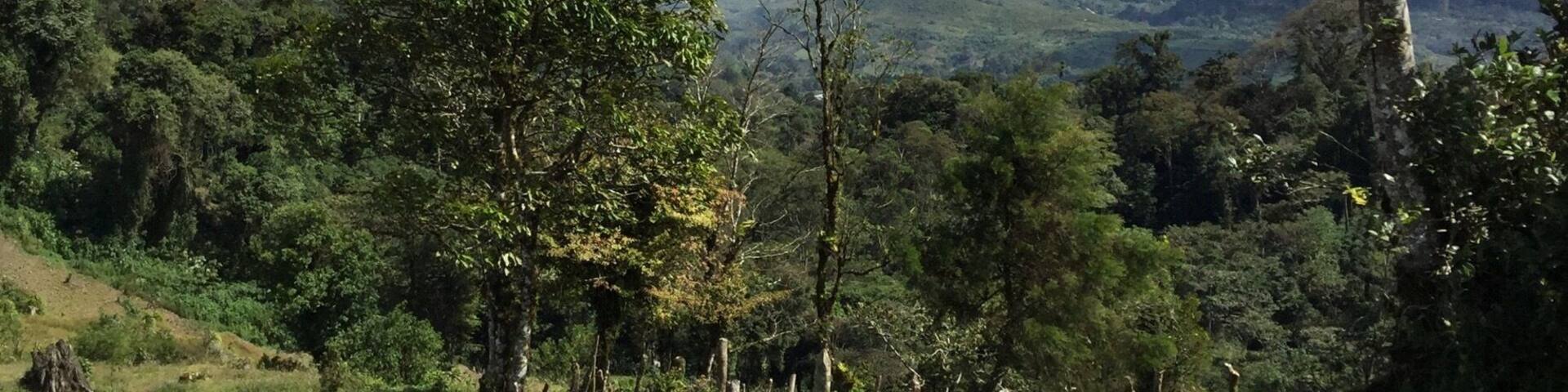 This photo was taken in the mountains surrounding Jinotega, about thirty minutes from the actual city