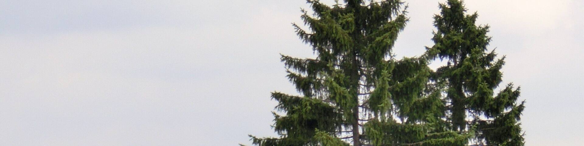 Wellnessliege am Bayreuther Haus