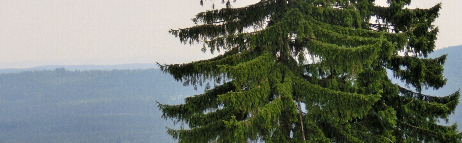 Wellnessliege am Bayreuther Haus