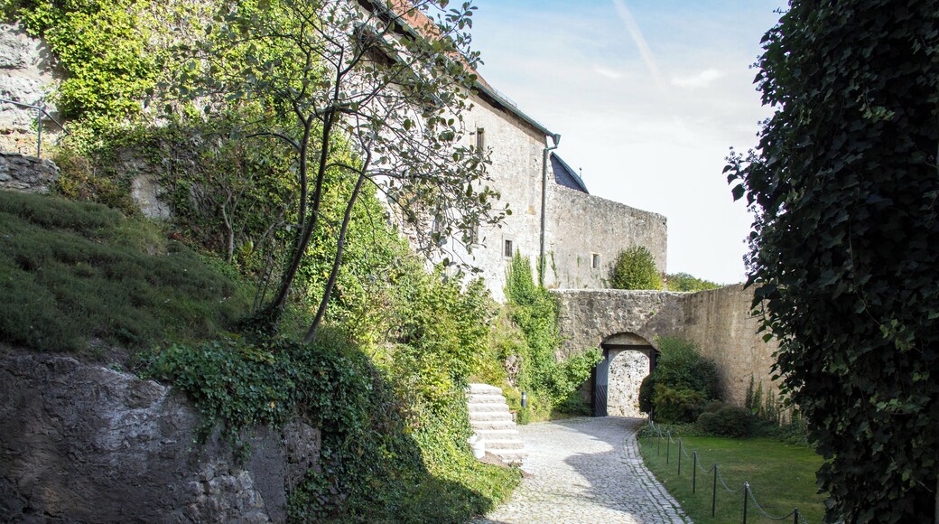 Burg Zwernitz, Vorhof