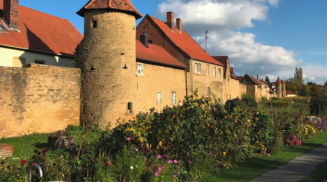 Gardens outside of the town wall