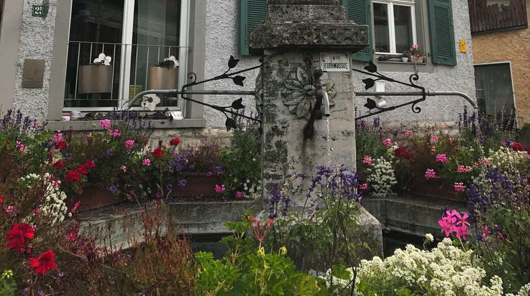 Fountain on the Market Square