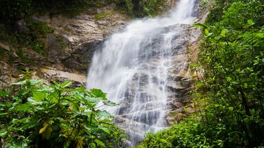 Une cascade se déversant le long d’une falaise rocheuse, entourée d’une végétation luxuriante.