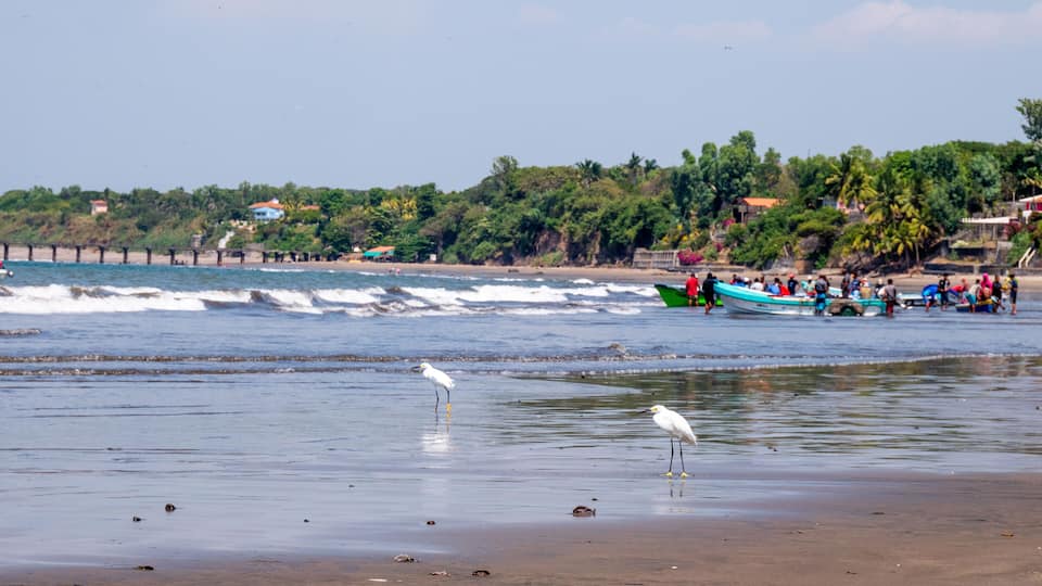 A beach with boats, people, and a white bird.
