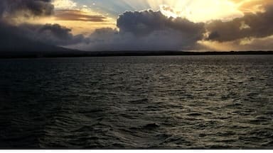 On the early morning ferry from Ometepe Island, Nicaragua...