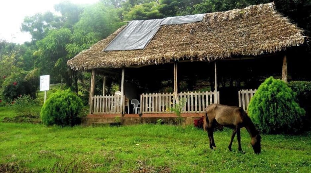 If stopping to visit ISLA de Ometepe, Nicaragua (and you should) make sure to stay at LEAST one night at the Finca Magdalena, a beautiful farm tucked away in the jungle.
