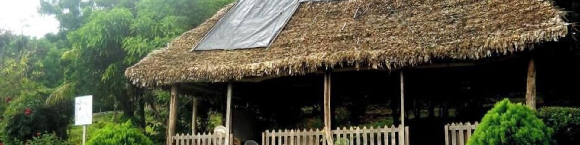 If stopping to visit ISLA de Ometepe, Nicaragua (and you should) make sure to stay at LEAST one night at the Finca Magdalena, a beautiful farm tucked away in the jungle.