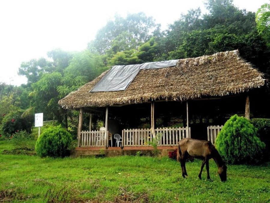 If stopping to visit ISLA de Ometepe, Nicaragua (and you should) make sure to stay at LEAST one night at the Finca Magdalena, a beautiful farm tucked away in the jungle.