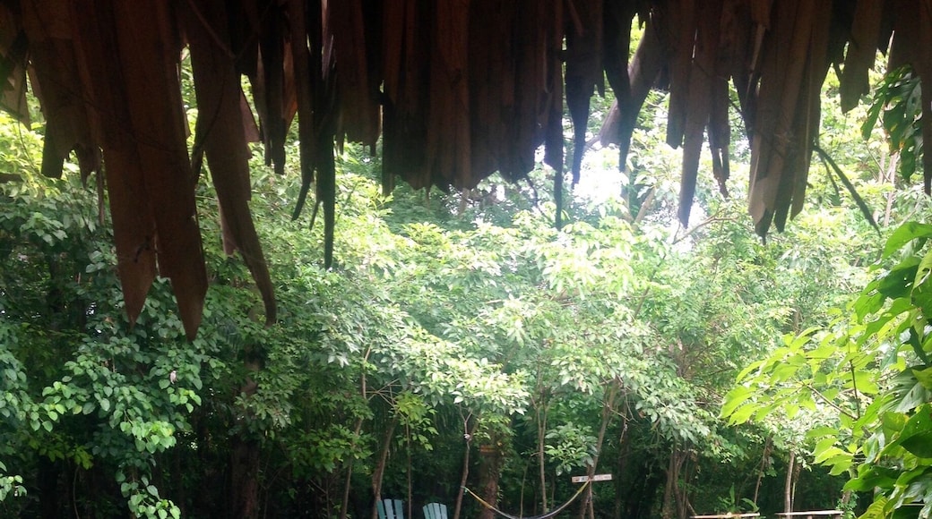 A little-known adventure paradise - this is Ojo de Agua an amazing natural mineral spring ($3 entry fee) but it's worth it! Take your GoPro and have some fun in the clear spring waters!