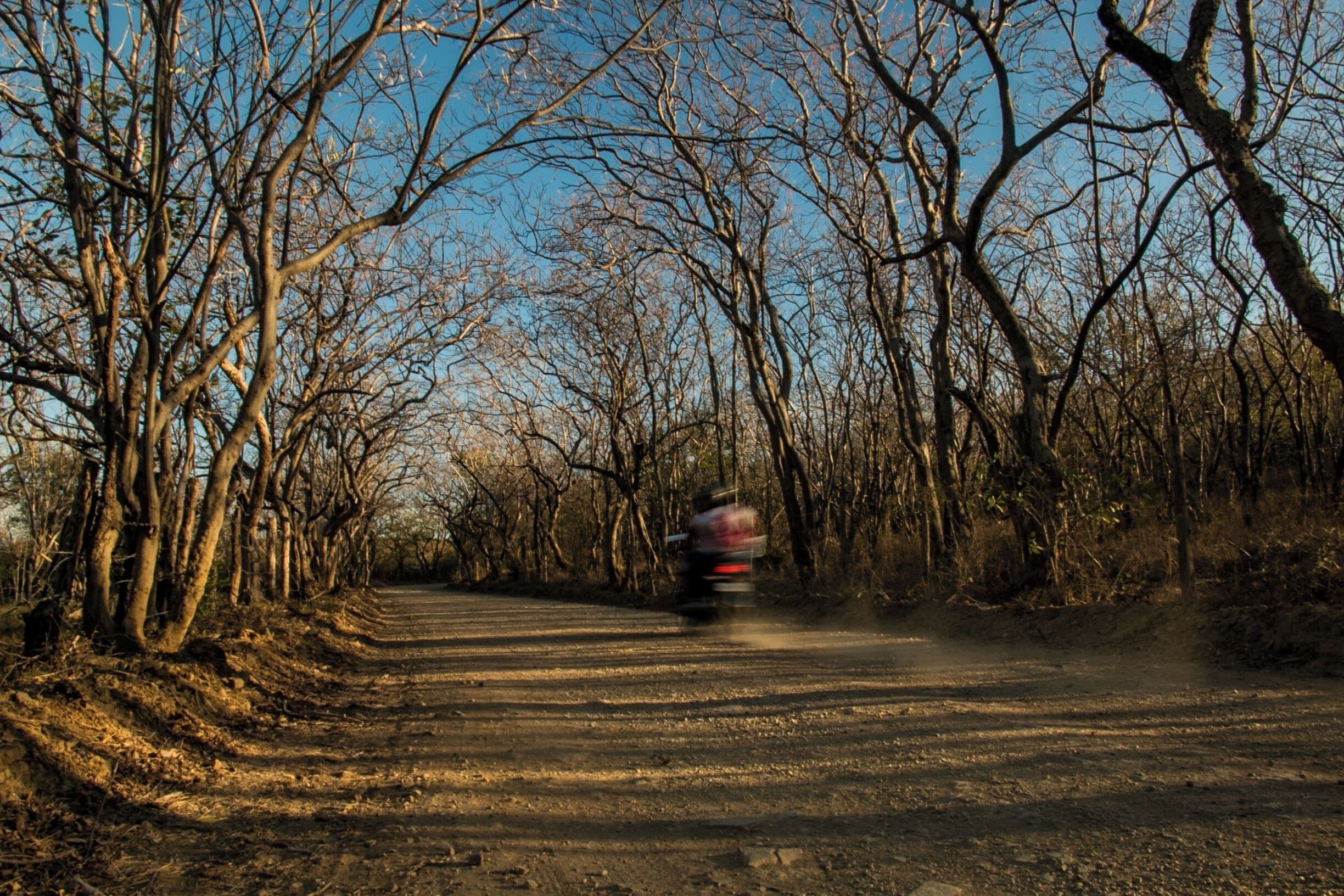 Sometimes being a little remote is a nice way to travel. Recently, near Popoyo in Nicaragua we decided to stay a few kilometres away from the beach and nearest town, in order to get a more real experience outside the tourists. 

Without a bike of our own, everything required long walks down these beautiful roads near the pacific coast. Whether it be for drinking water or a swim on the beautiful ocean, occasionally the extra effort makes everything so much more beautiful in the end.

#Popoyo #Nicaragua