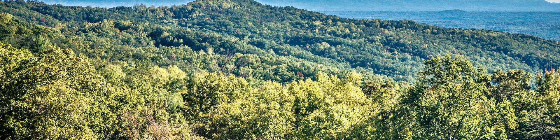autumn foliage on blue ridge parkway near stone mountain north