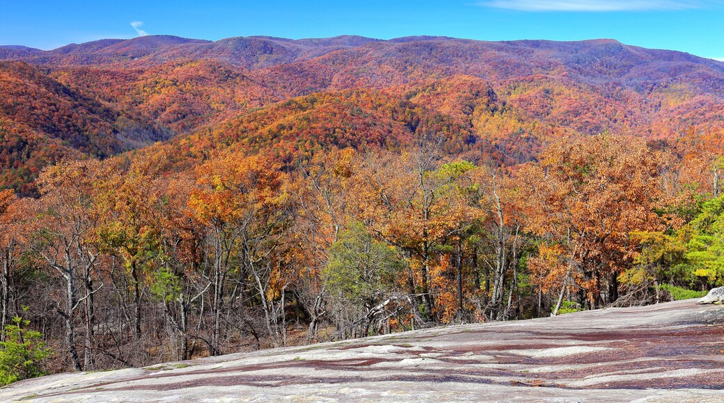 View of autumn colors from the top of Stone Mountain at Stone Mountain State Park, North Carolina, USA