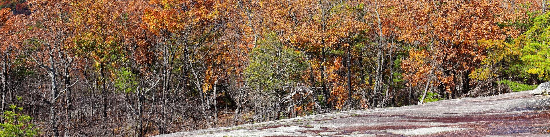 View of autumn colors from the top of Stone Mountain at Stone Mountain State Park, North Carolina, USA