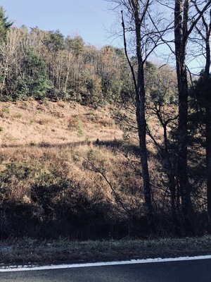 Most people would look at this land located on Oklahoma Road, near Stone Mountain State Park and not even take a second glace. This just looks like all of the other plots of land in the Appalachian region, but what only the people from this area would know, is that this is posted, prime hunting land. The people of Appalachia have been living off of the wildlife in the area for many years, and even today, the wildlife killed on land like this provides the only form of nutrition for those living in poverty in the area. This is also a representation of the stereotypes of the people of Appalachia that present them as hillbilly, uncultured, and savage hunters, yet hunting is still a crucial component of Appalachian culture.
#appalachianechoes