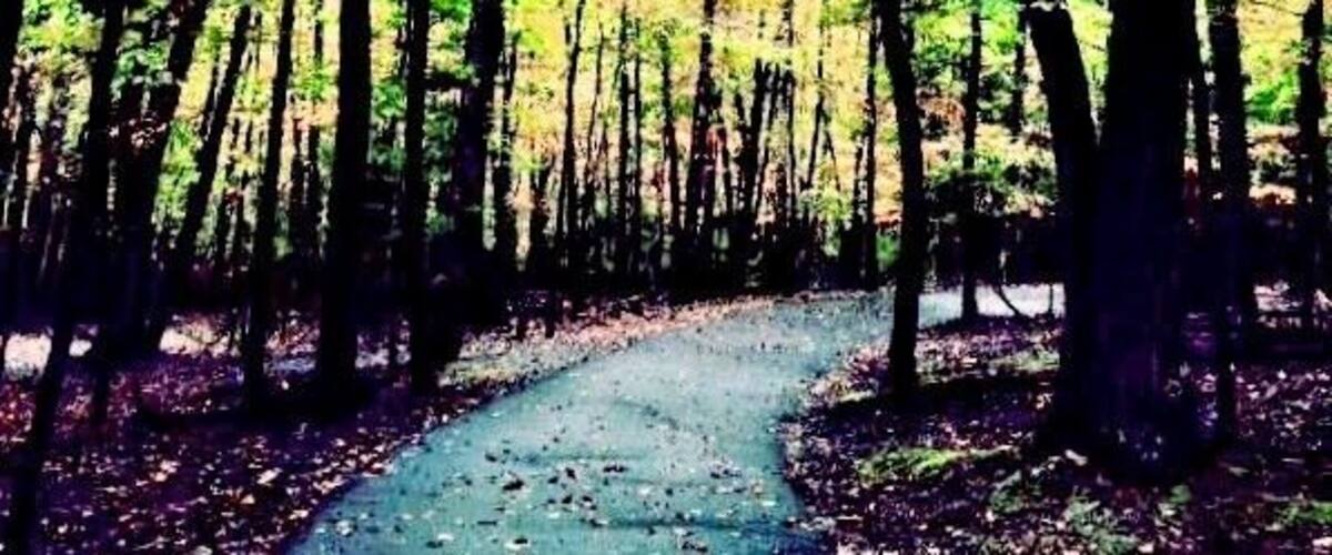 A beautiful Autumn walk