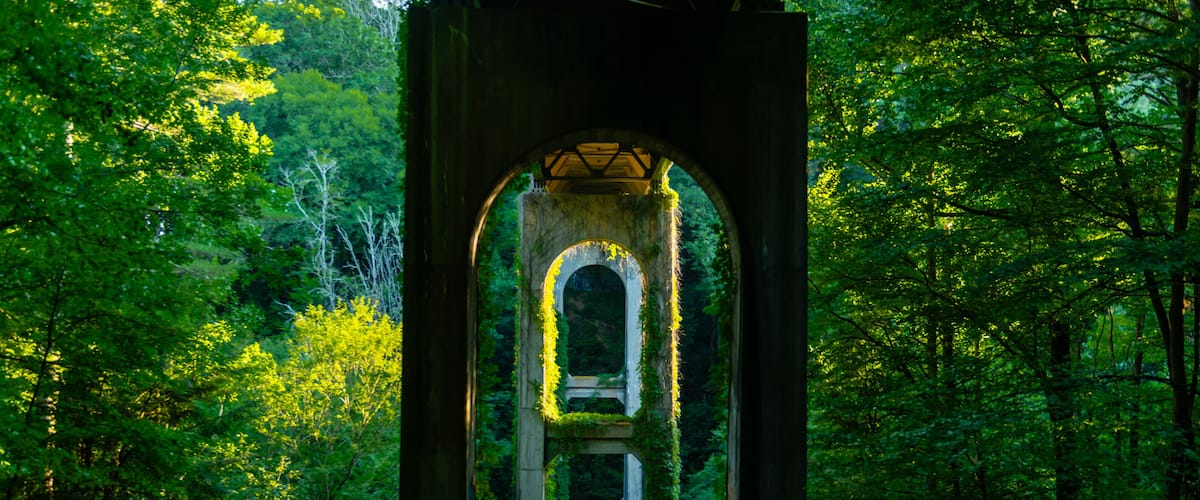 An arched stone structure surrounded by dense forest.