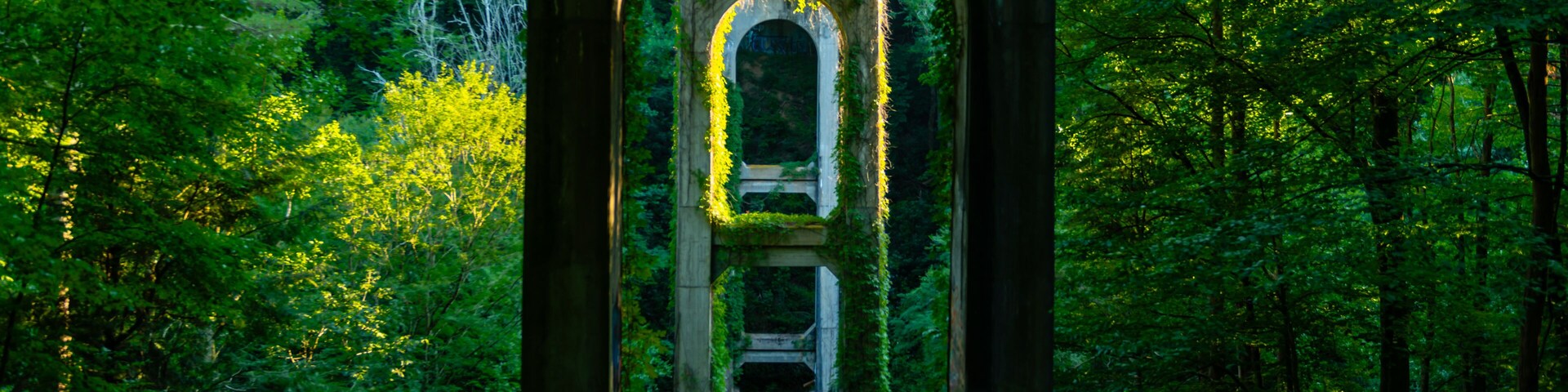 An arched stone structure surrounded by dense forest.