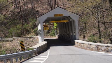 Covered Bridge at Valley Forge