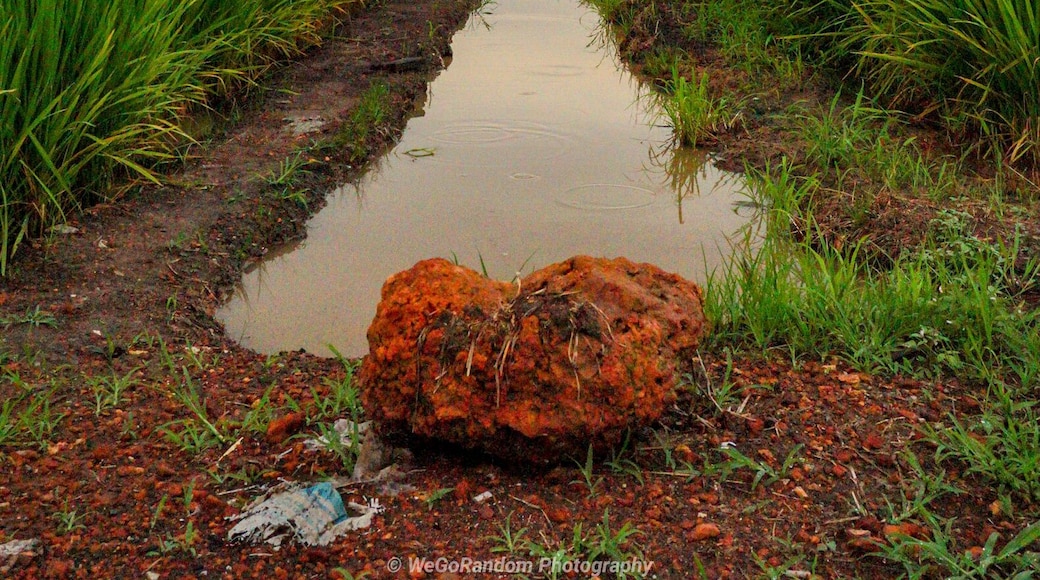 #LikeALocal this place is very beautiful for photoshoot or landscape photography. Remember to check out on weather forecast before doing so.