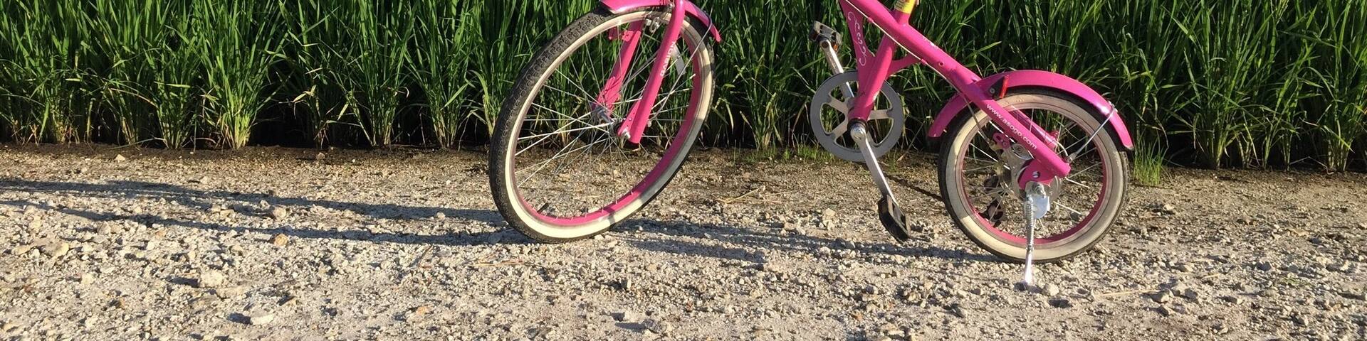 Rent a bike and explore the vast paddy fields around this village. Stop at various places and just enjoy the ride.