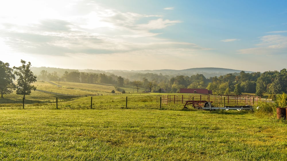 Field Near Smith Mountain Lake VA