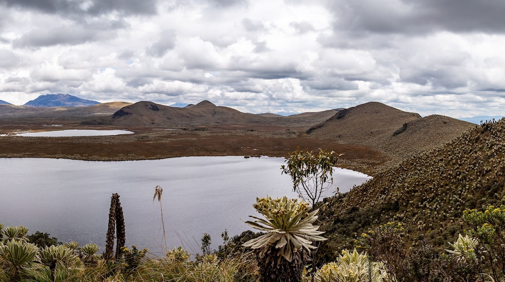 Khu bảo tồn Sinh thái El Angel