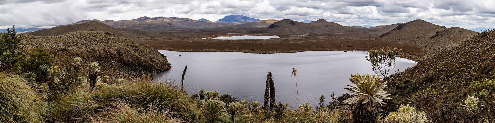The moors of El Ángel,
