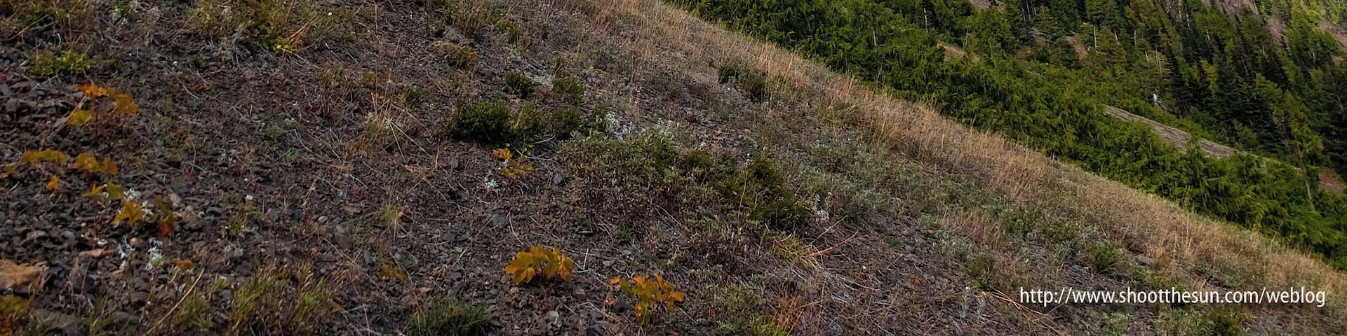 The ridge at Marmot Pass