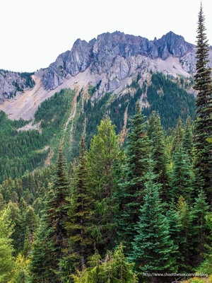 This is the ridge that surrounds the final few thousand yards of the Big Quilcene Trail. Again, I cannot give you accurate measurements for the structure.
However, the trees you see in the foreground are anywhere from sixty to a hundred feet tall. Those are the trees you will find going all the way up the ridge.
And from here, they look like matchsticks.