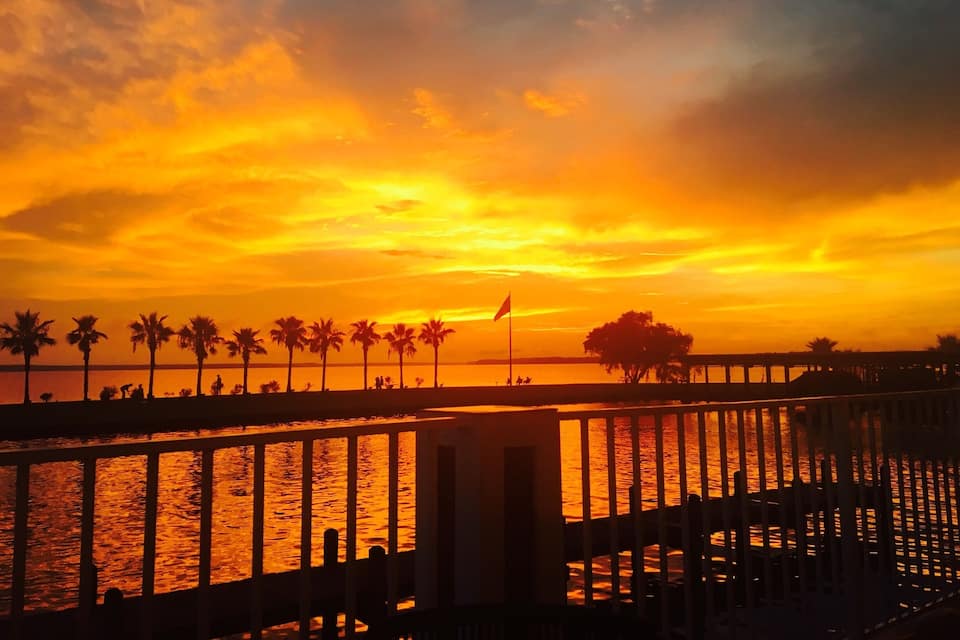 A sunset over a waterfront with palm trees and a pier.