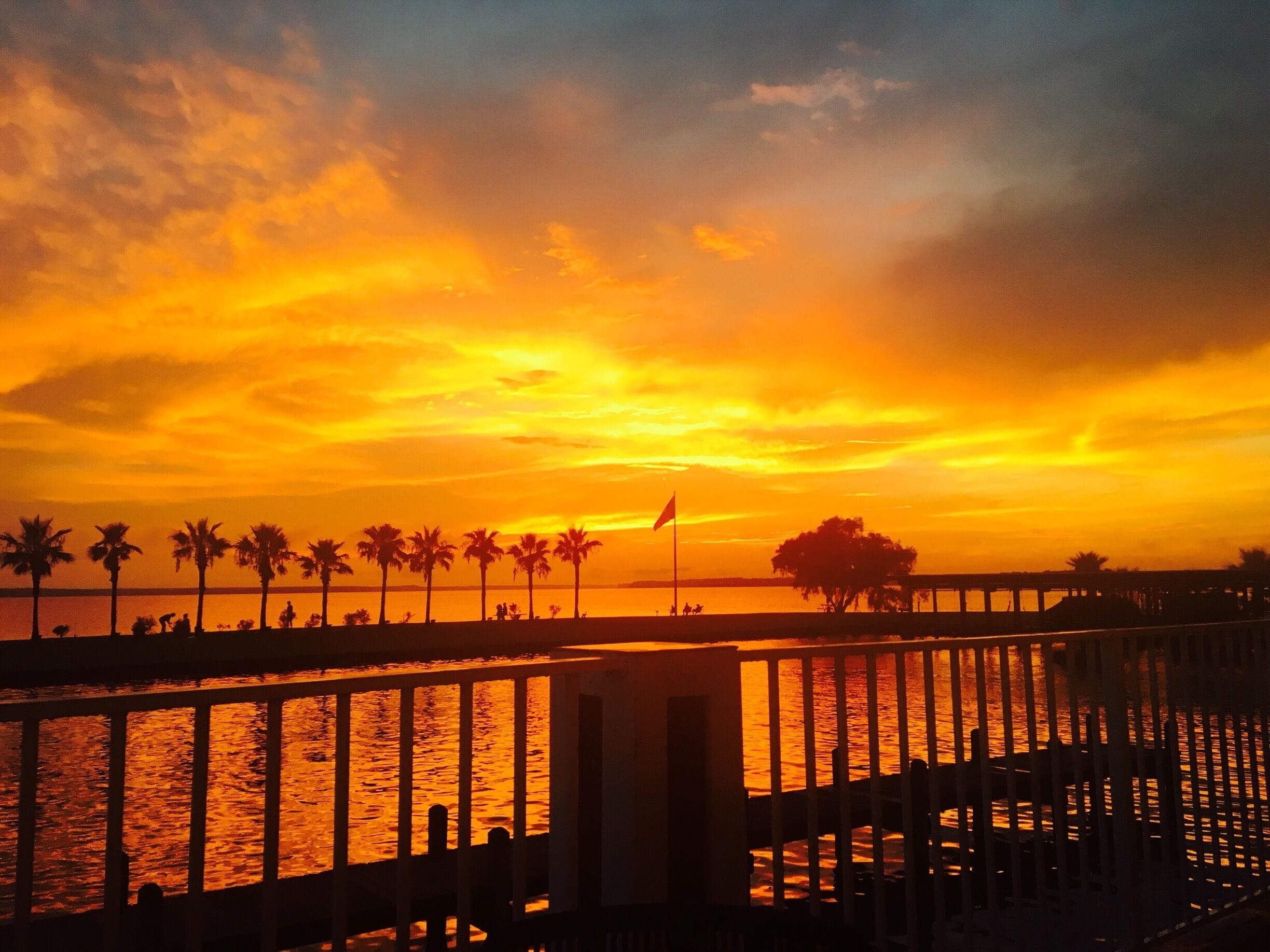 A sunset over a waterfront with palm trees and a pier.