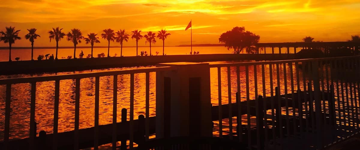 A sunset over a waterfront with palm trees and a pier.