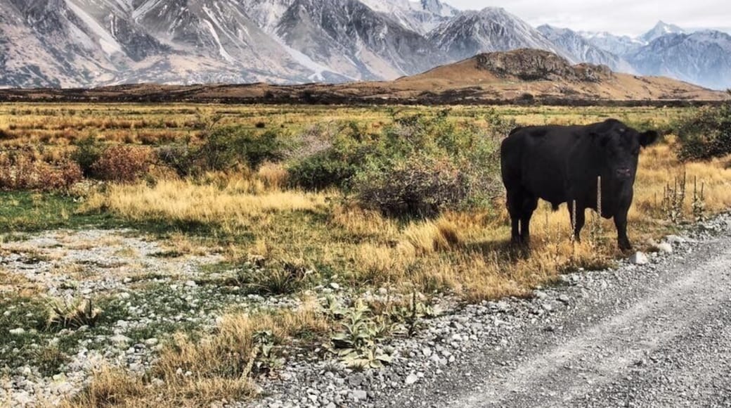 On the road to Edoras (My Sunday)