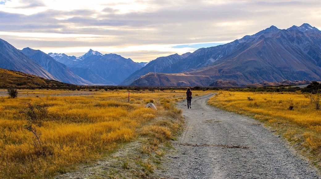 One of the most serene valleys I've ever visited, the Rangitata Valley on the south island of New Zealand. This was a big filming location in The Lord of the Rings The Two Towers film. This was the site for Edoras.