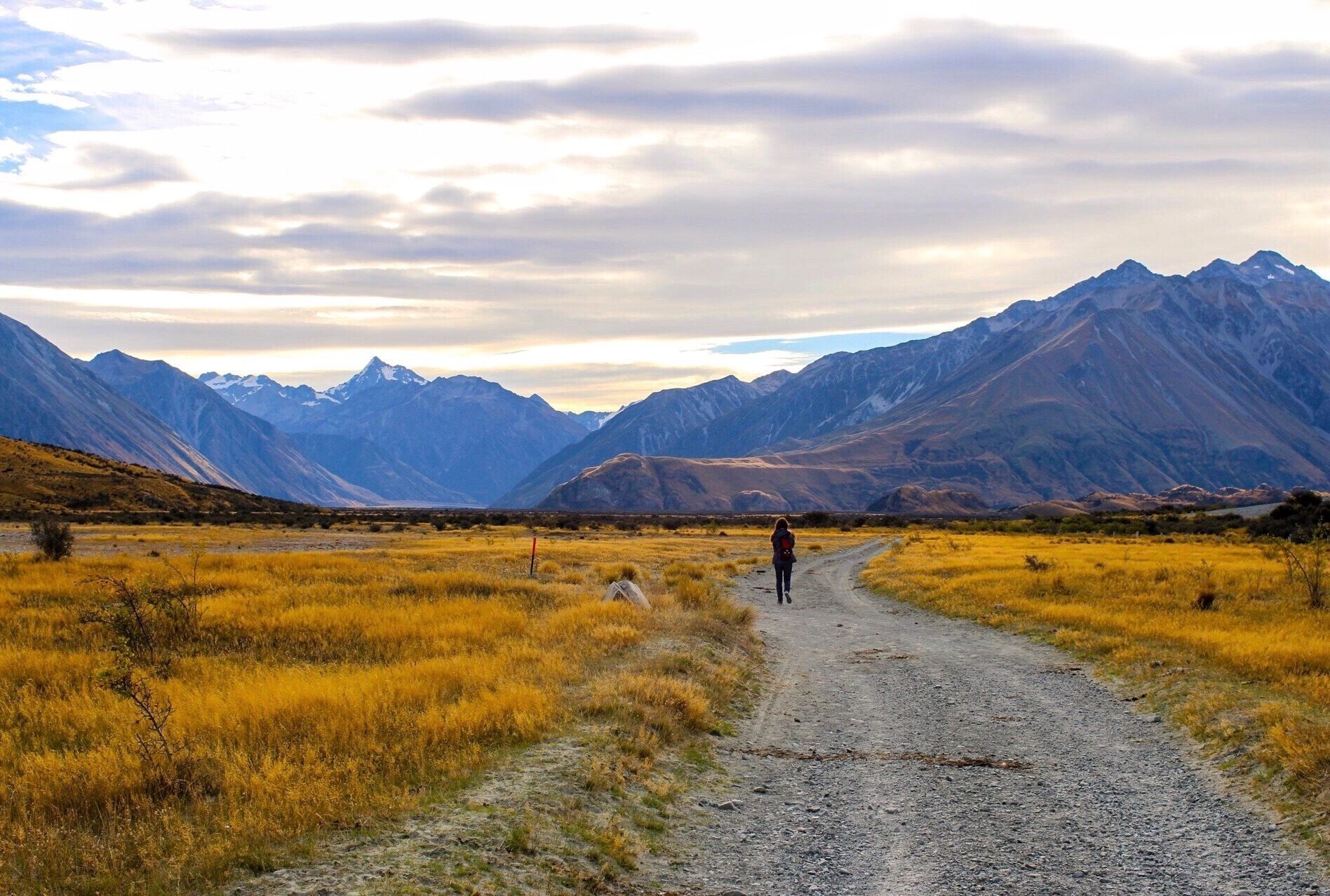 A gravel path leading through a grassy field with mountains in the background.