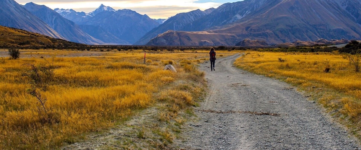 A gravel path leading through a grassy field with mountains in the background.