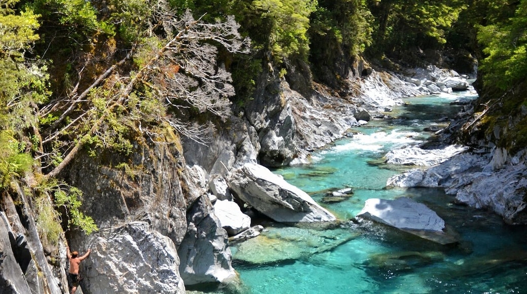 The #Blue Pools just outside of Wanaka are one of my favourite hidden gems in the region