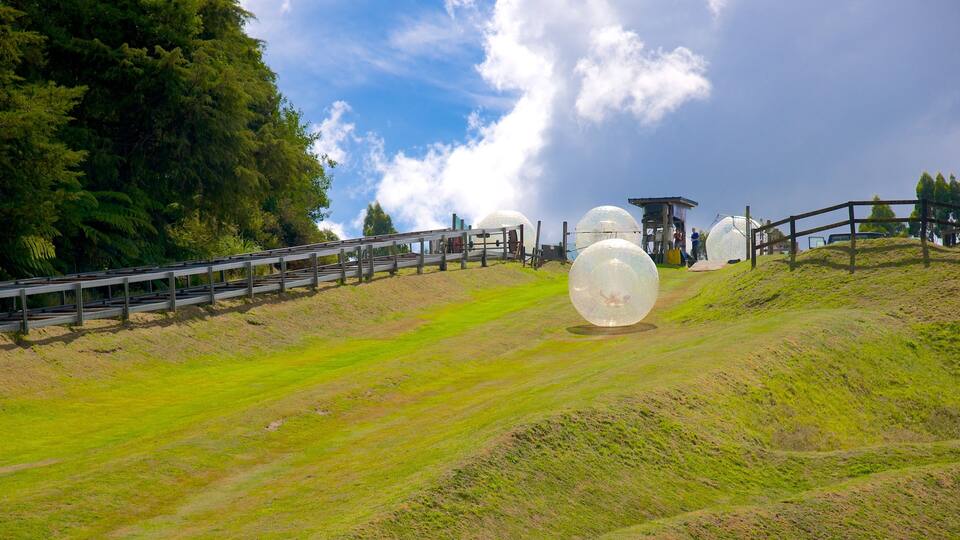 Zorb