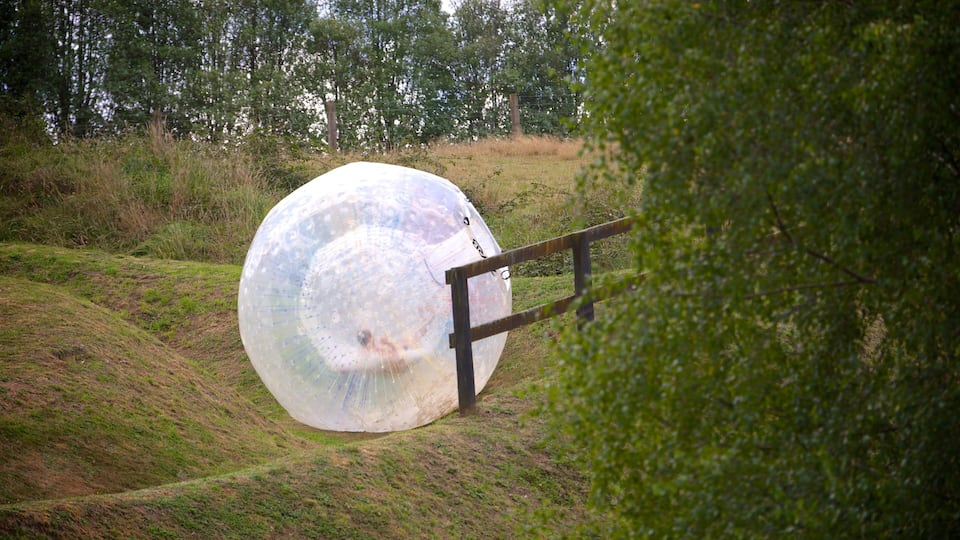 Une sphère transparente contenant une personne, garée sur une colline herbeuse, avec une clôture en arrière-plan.