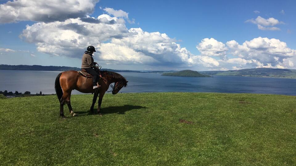 A beautiful day and experience just outside Rotorua, NZ
If you ever get a chance at galloping in the mountains of NZ, try it!