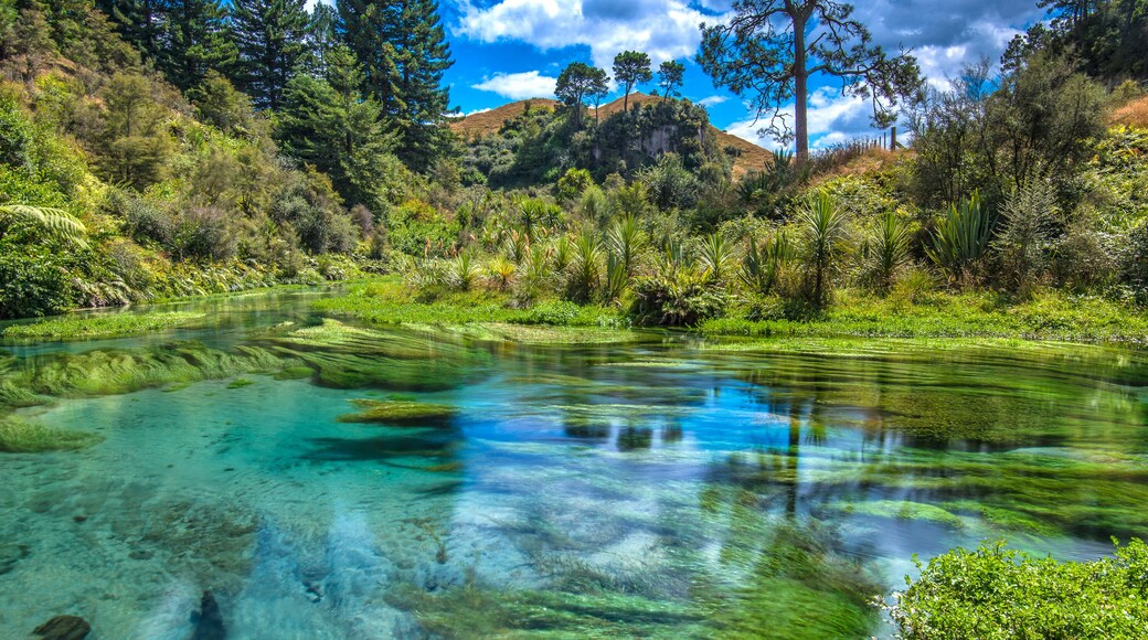 Blue spring - South Waikato, New Zealand