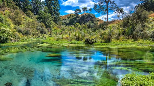 Blue spring - South Waikato, New Zealand