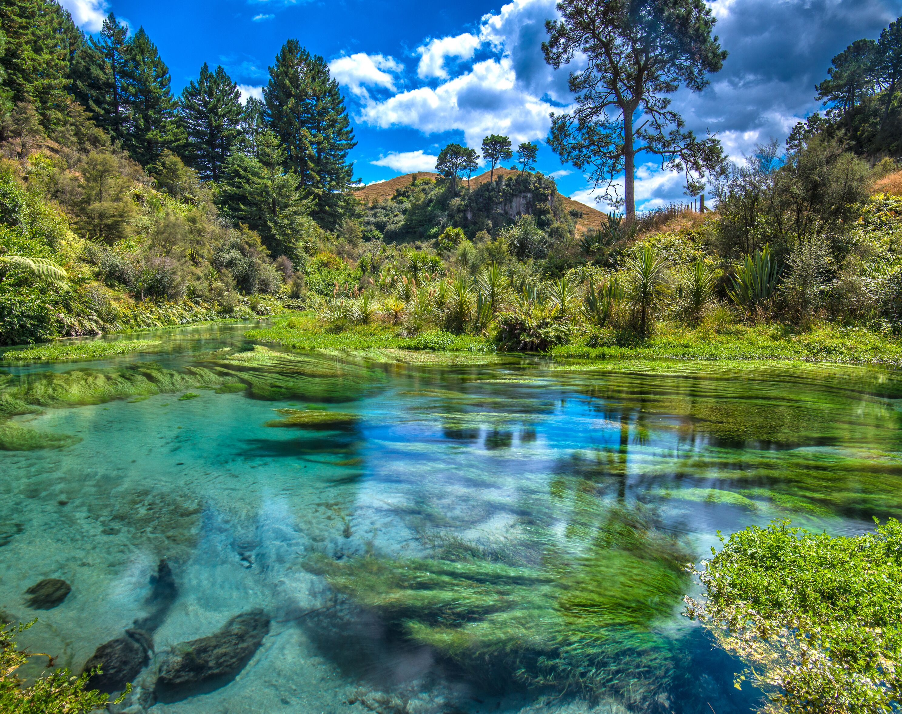 A clear lake surrounded by lush greenery and trees.