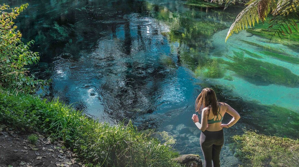 Love this walk, there’s two different entrances. One entrance is a about a 30min walk while the other way is a 3 hour walk. Nice flat walk along the stunning spring