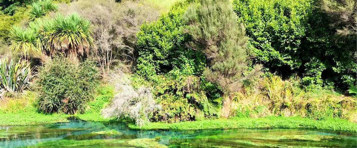 Most beautiful spot in the world #newzealand #nz #travel #wanderlust