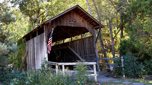 Creek Covered by Lost Creek Bridge